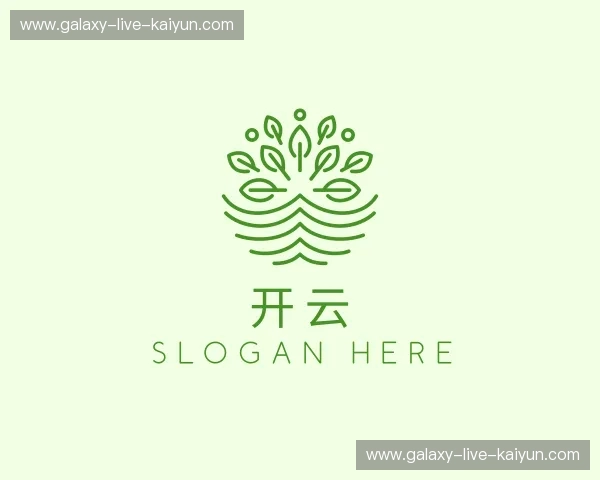 发现开云app官网